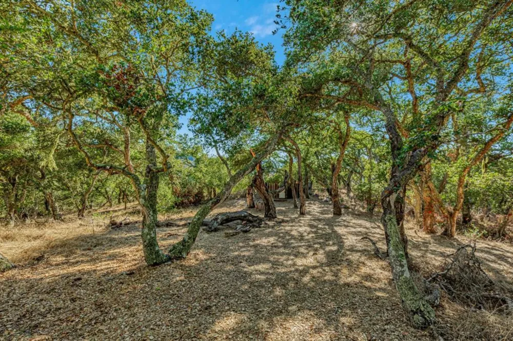 Ranch, Carmel Valley Road Carmel, CA 93923