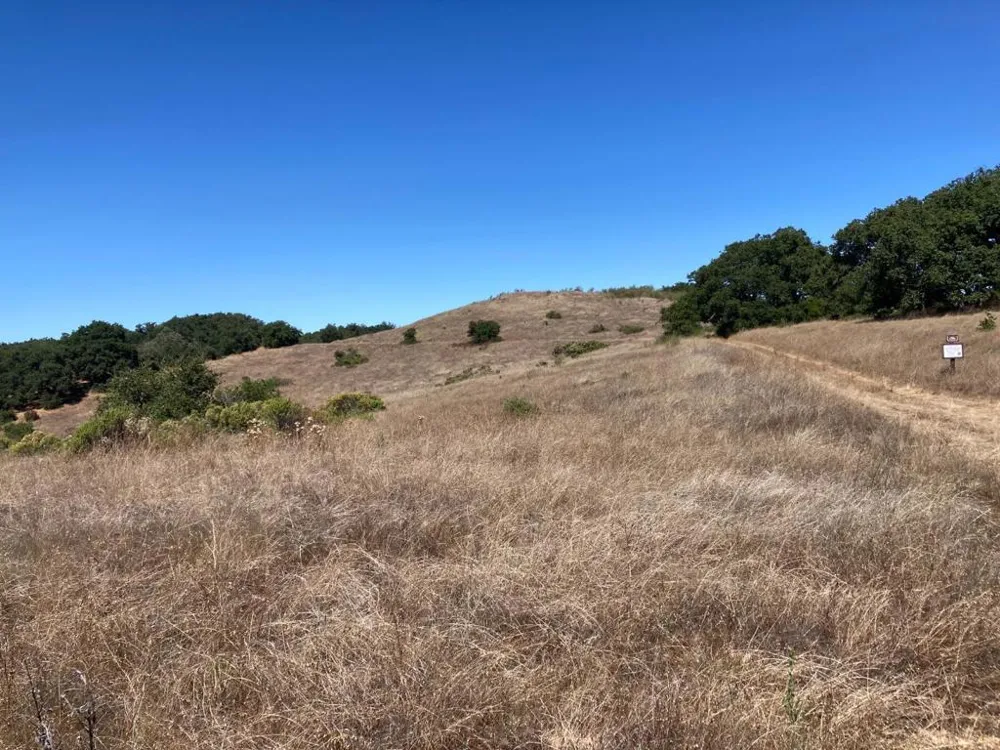 Ranch, Carmel Valley Road Carmel, CA 93923