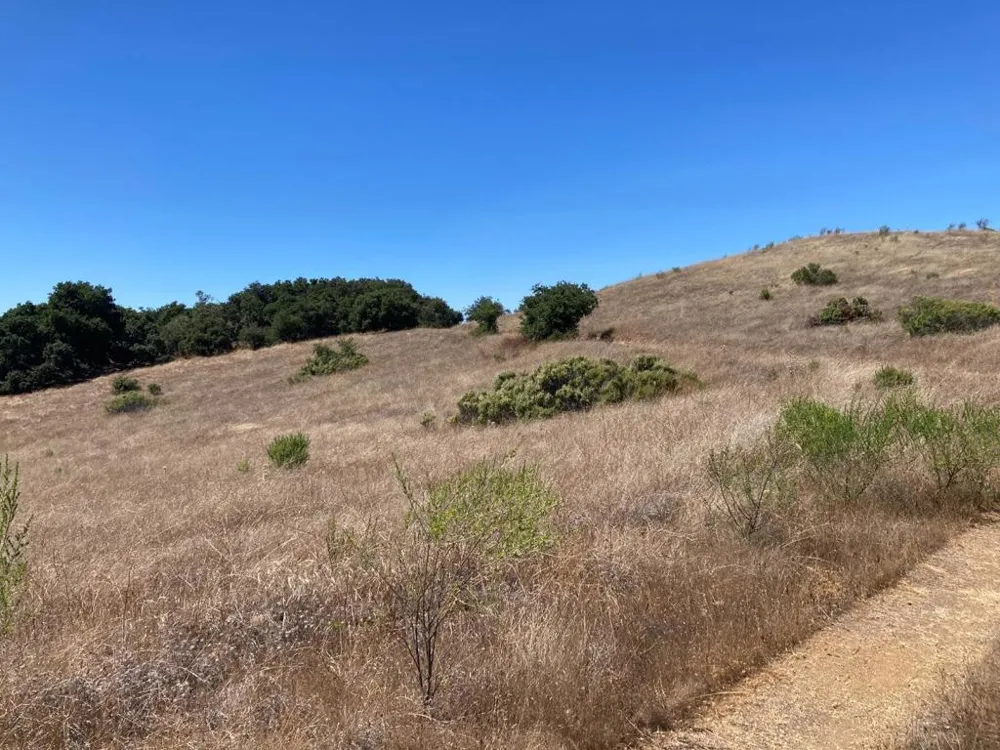Ranch, Carmel Valley Road Carmel, CA 93923