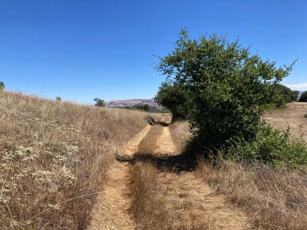 Ranch, Carmel Valley Road Carmel, CA 93923
