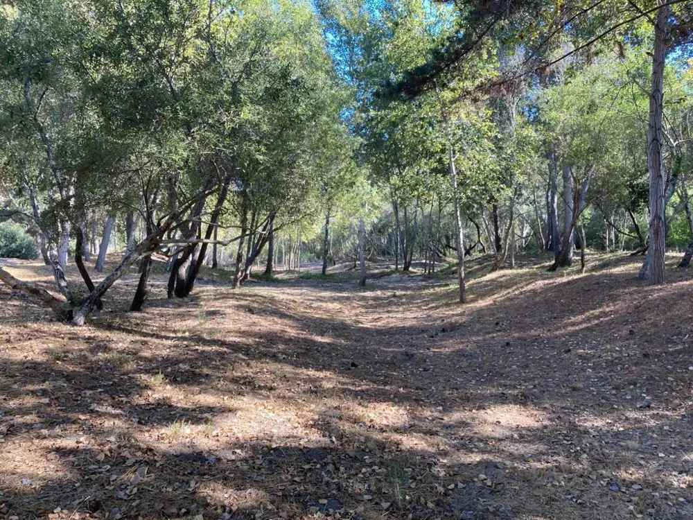 Ranch, Carmel Valley Road Carmel, CA 93923