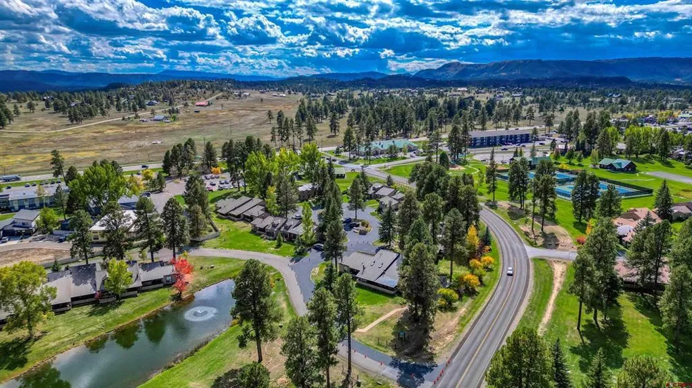 217 Pinon Causeway #3022 Pagosa Springs, CO 81147