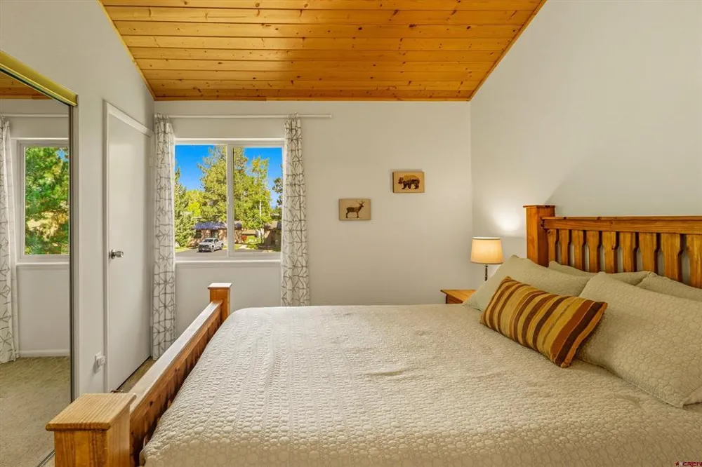 217 Pinon Causeway #3022 Pagosa Springs, CO 81147