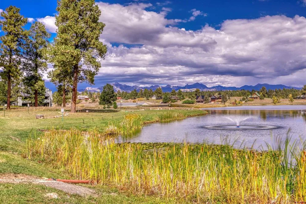217 Pinon Causeway #3022 Pagosa Springs, CO 81147
