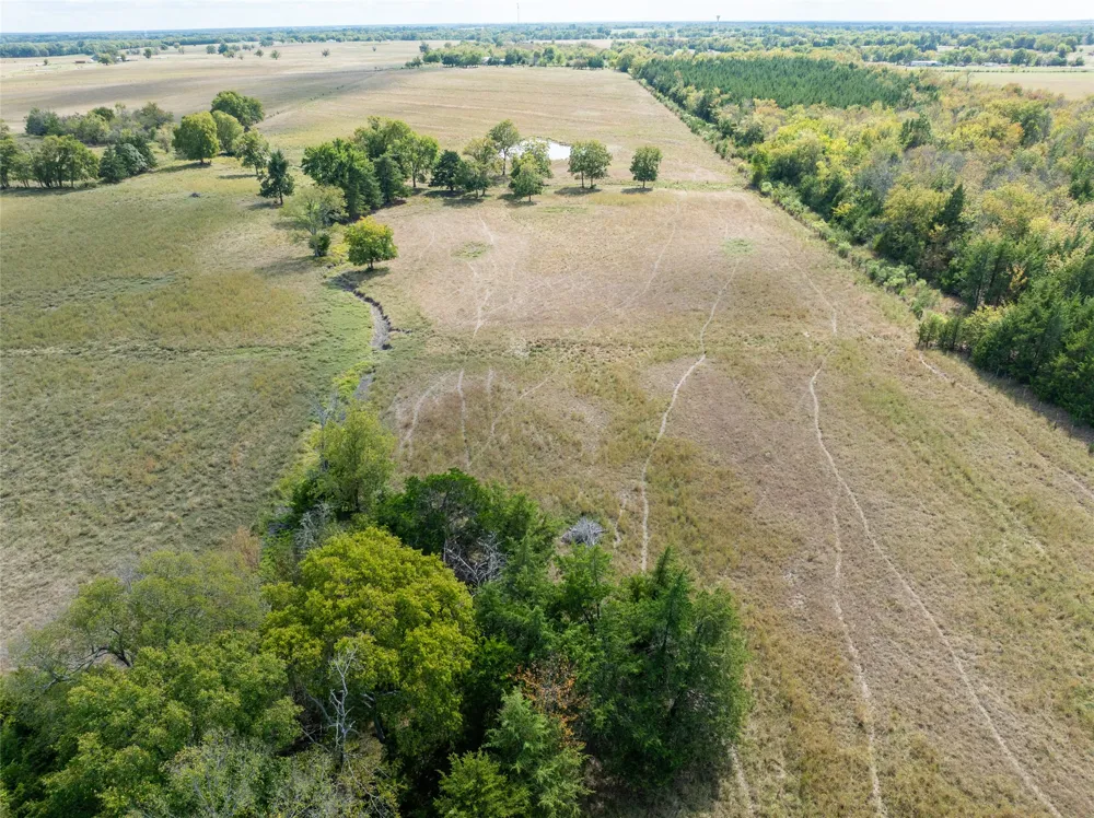 CR 15240 Blossom, TX 75416