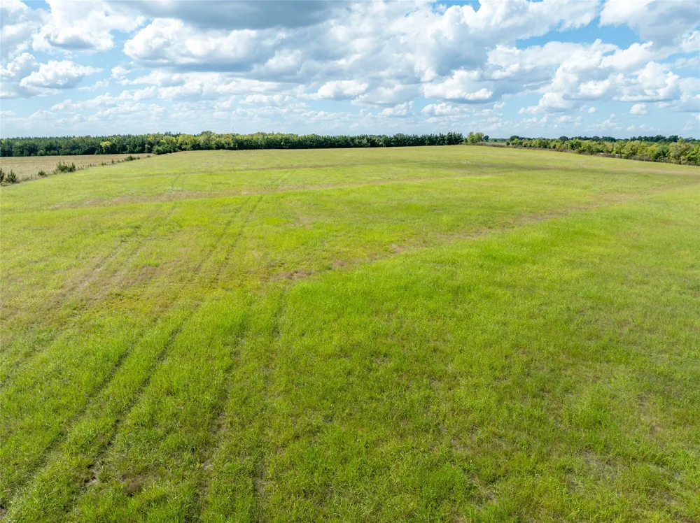 CR 15240 Blossom, TX 75416