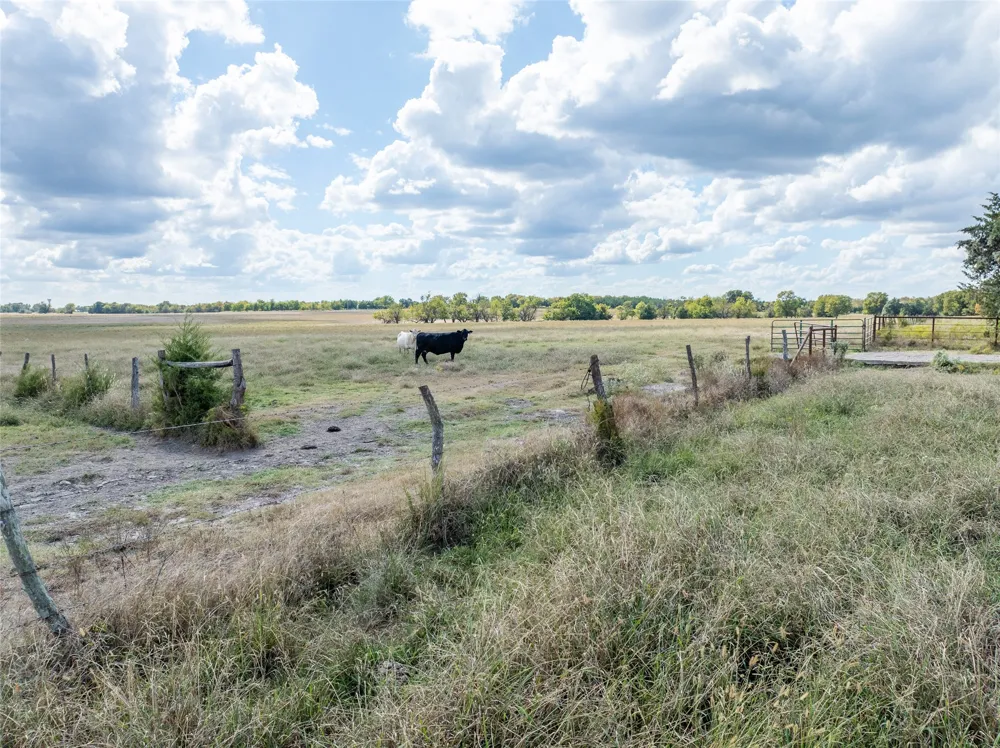 CR 15240 Blossom, TX 75416