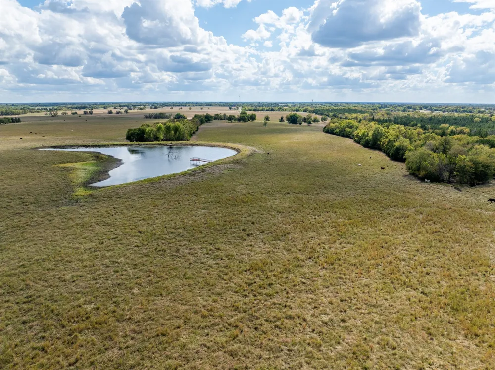 CR 15240 Blossom, TX 75416