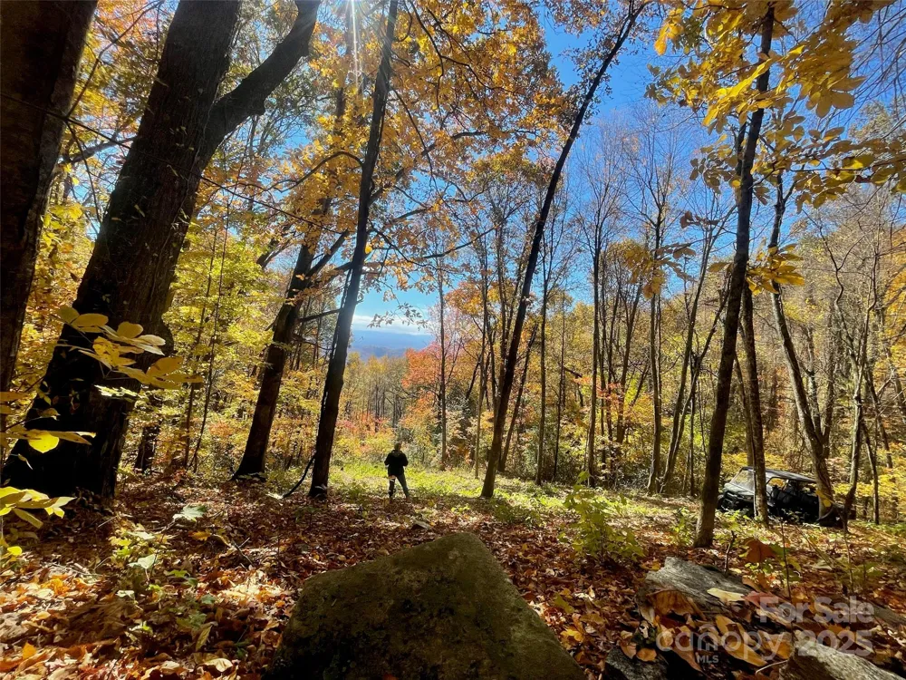 00000 New Sprout Lane #1 Hendersonville, NC 28792