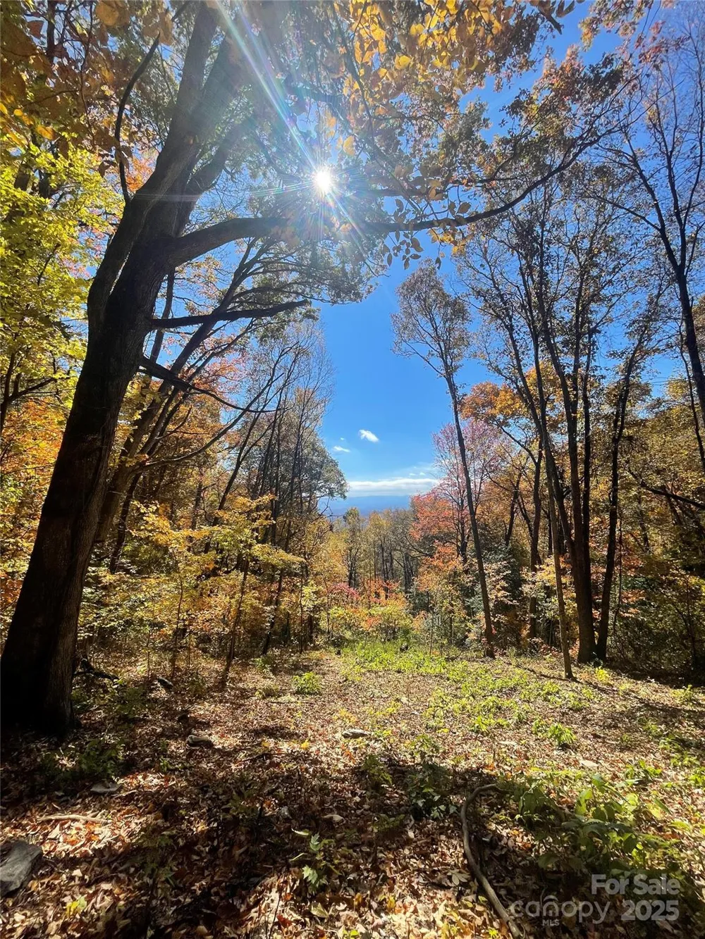 00000 New Sprout Lane #1 Hendersonville, NC 28792