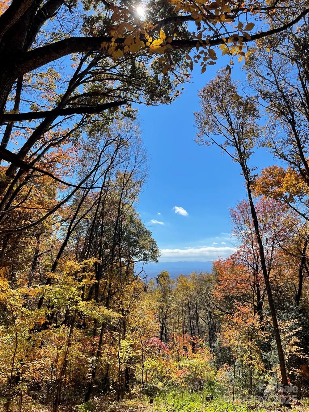 00000 New Sprout Lane #1 Hendersonville, NC 28792