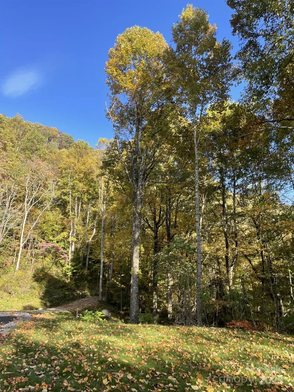 00000 New Sprout Lane #1 Hendersonville, NC 28792