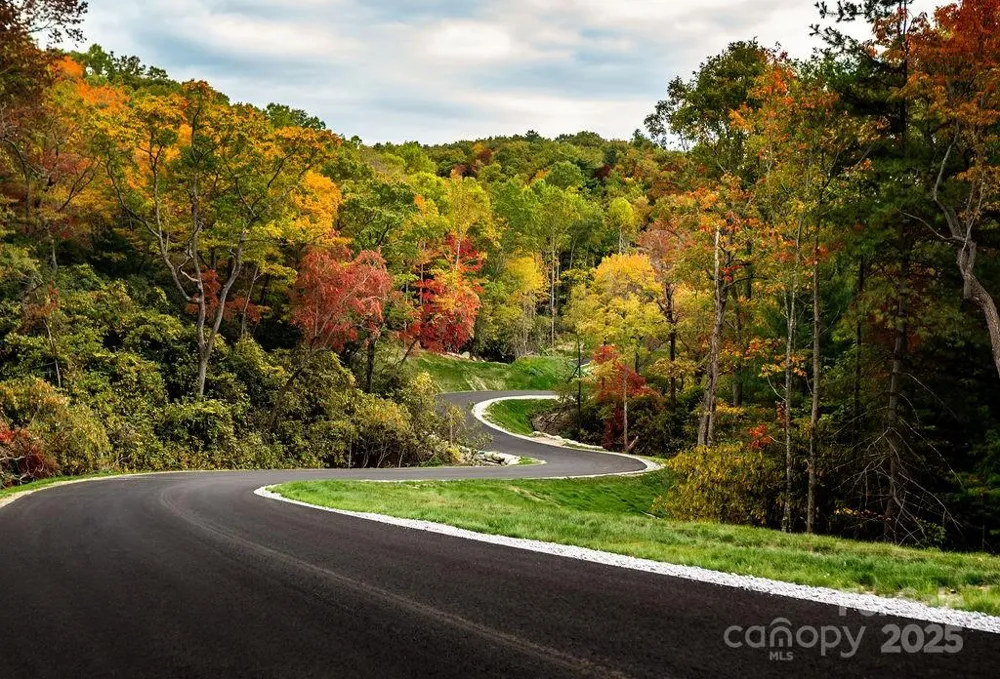 00000 New Sprout Lane #1 Hendersonville, NC 28792