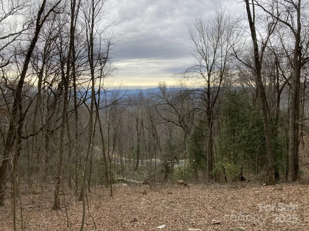 00000 New Sprout Lane #1 Hendersonville, NC 28792