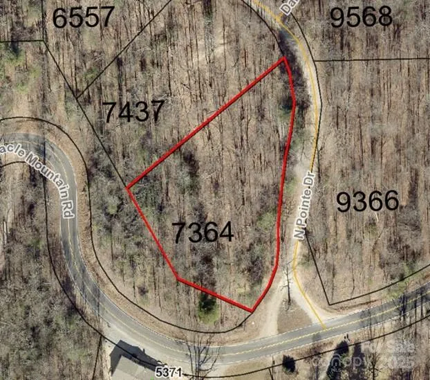 999999 Pointe Drive #1 Zirconia, NC 28790