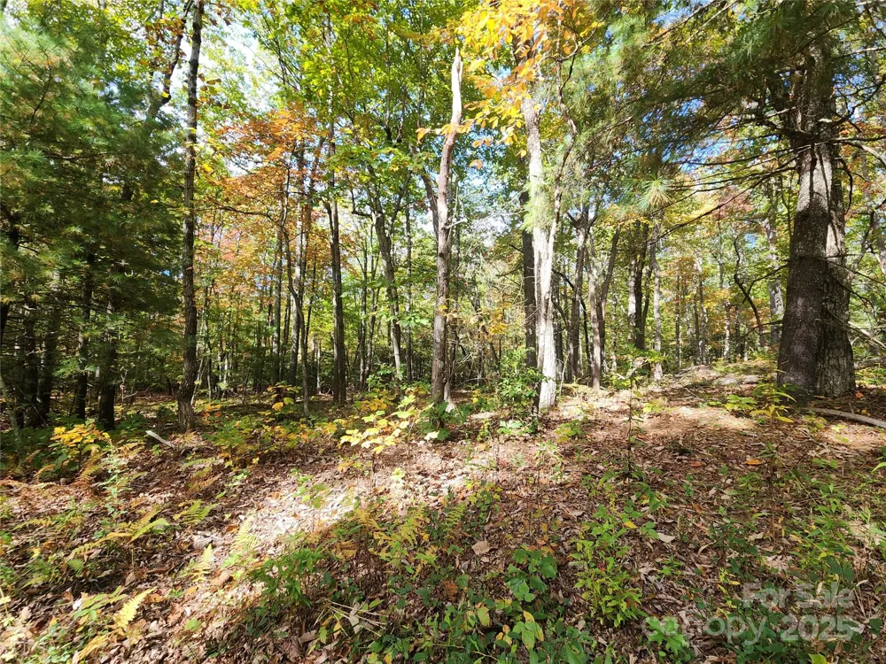 999999 Pointe Drive #1 Zirconia, NC 28790