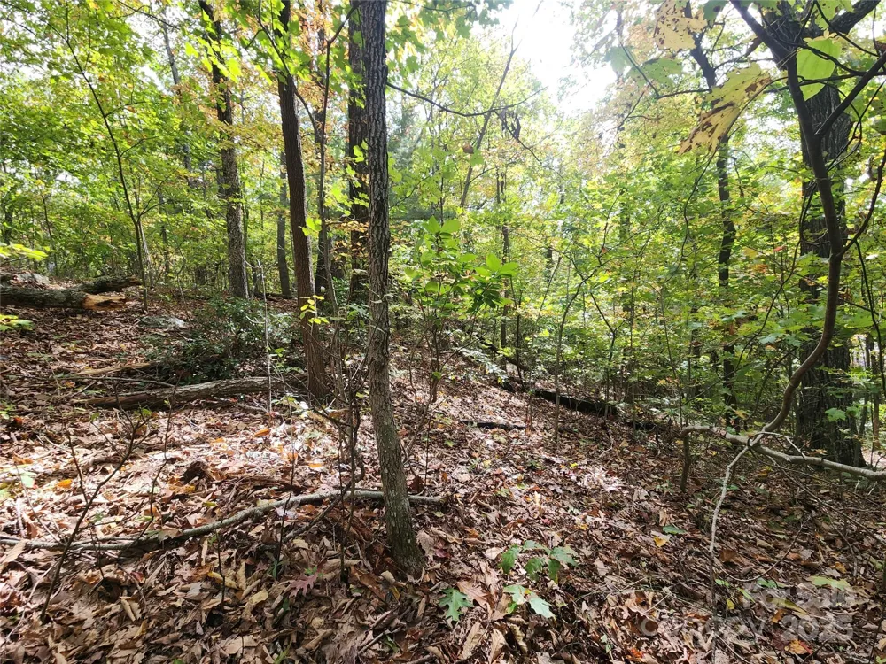 99999 Pointe Drive #3 Zirconia, NC 28790