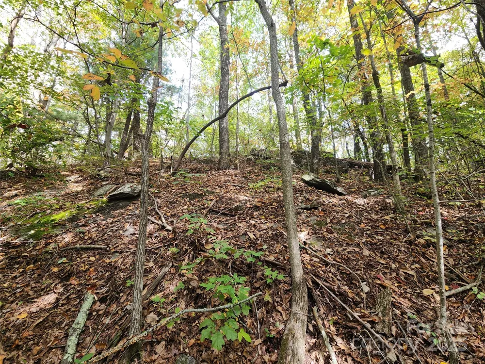 99999 Pointe Drive #3 Zirconia, NC 28790