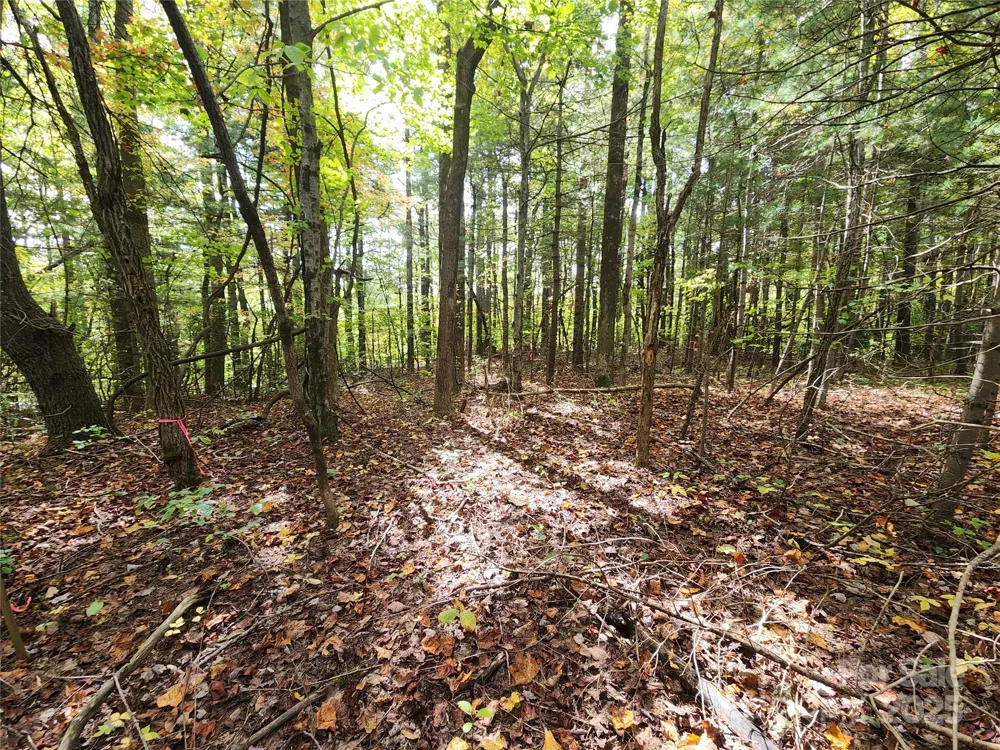 99999 Pointe Drive #5 and #30 Zirconia, NC 28790