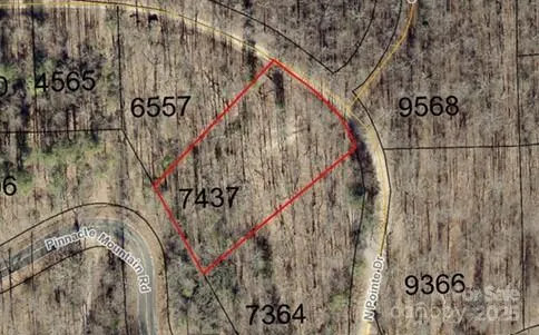 99999 Pointe Drive #2 Zirconia, NC 28790