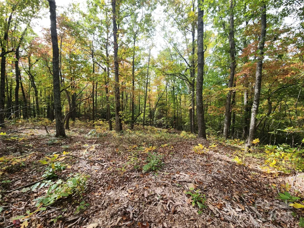 99999 Pointe Drive #2 Zirconia, NC 28790