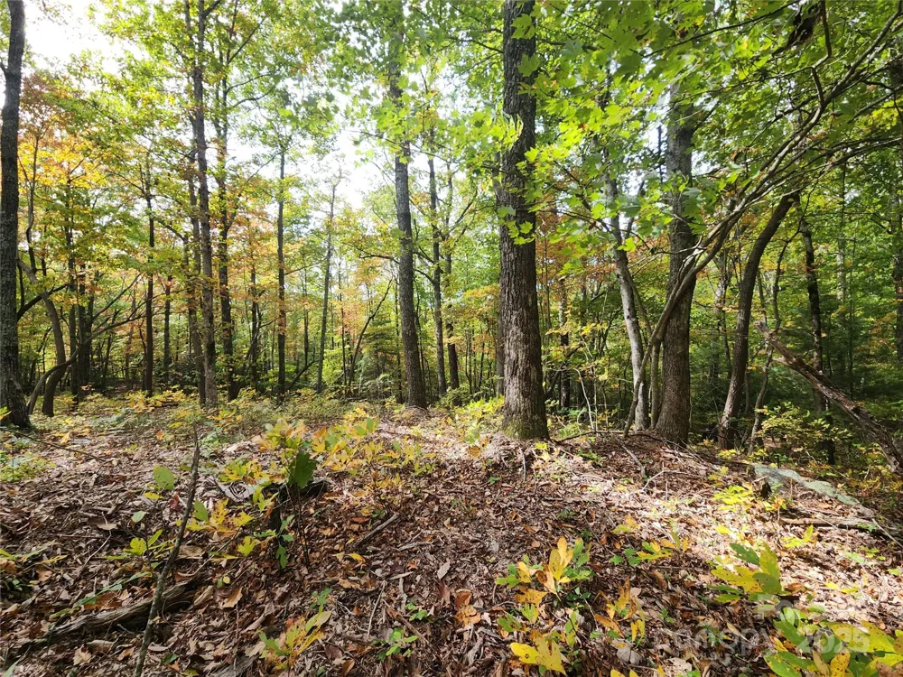 99999 Pointe Drive #2 Zirconia, NC 28790