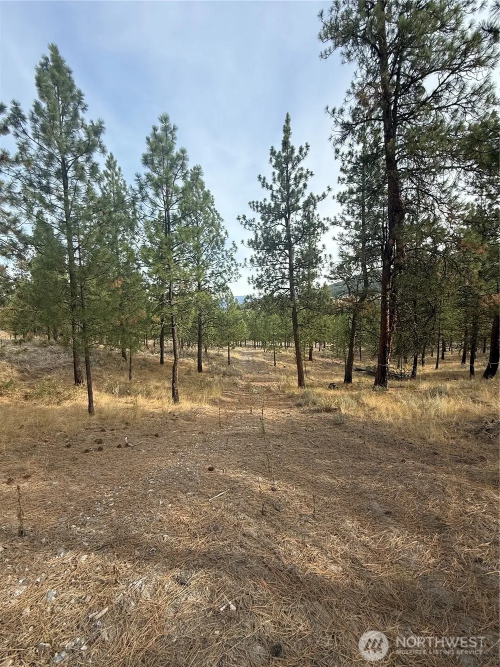 67 W Bannon Creek Road Tonasket, WA 98855