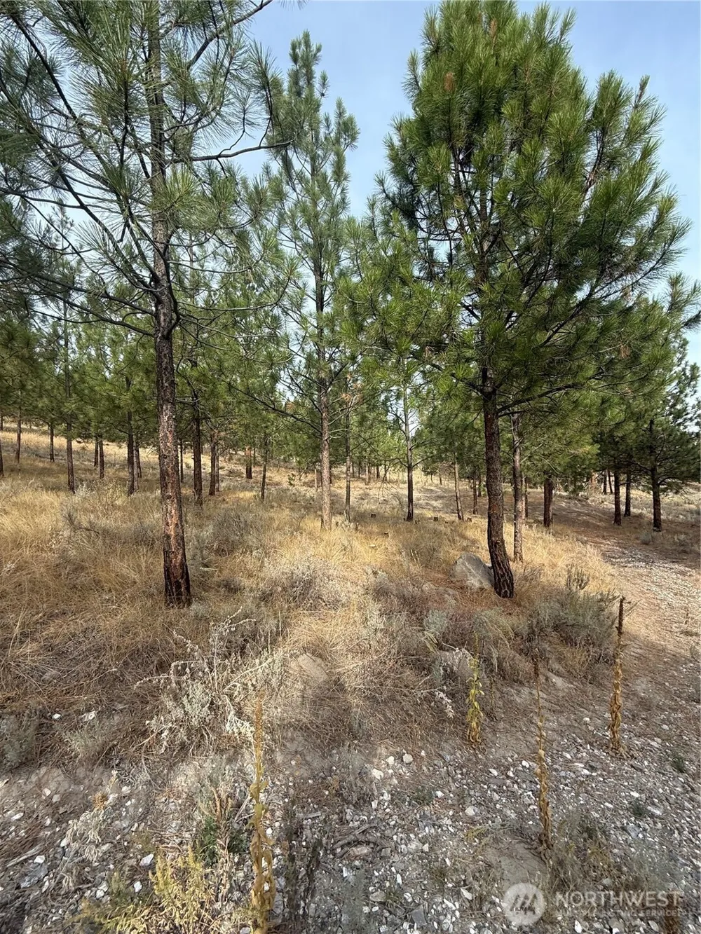 67 W Bannon Creek Road Tonasket, WA 98855