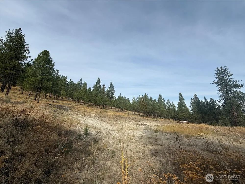 67 W Bannon Creek Road Tonasket, WA 98855