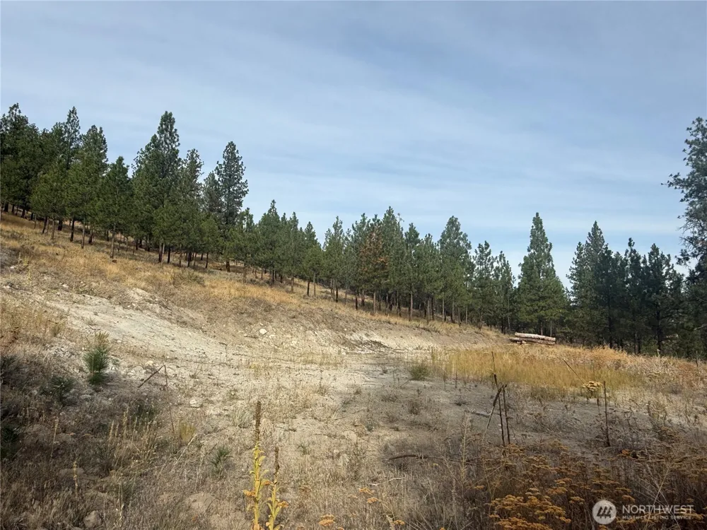 67 W Bannon Creek Road Tonasket, WA 98855