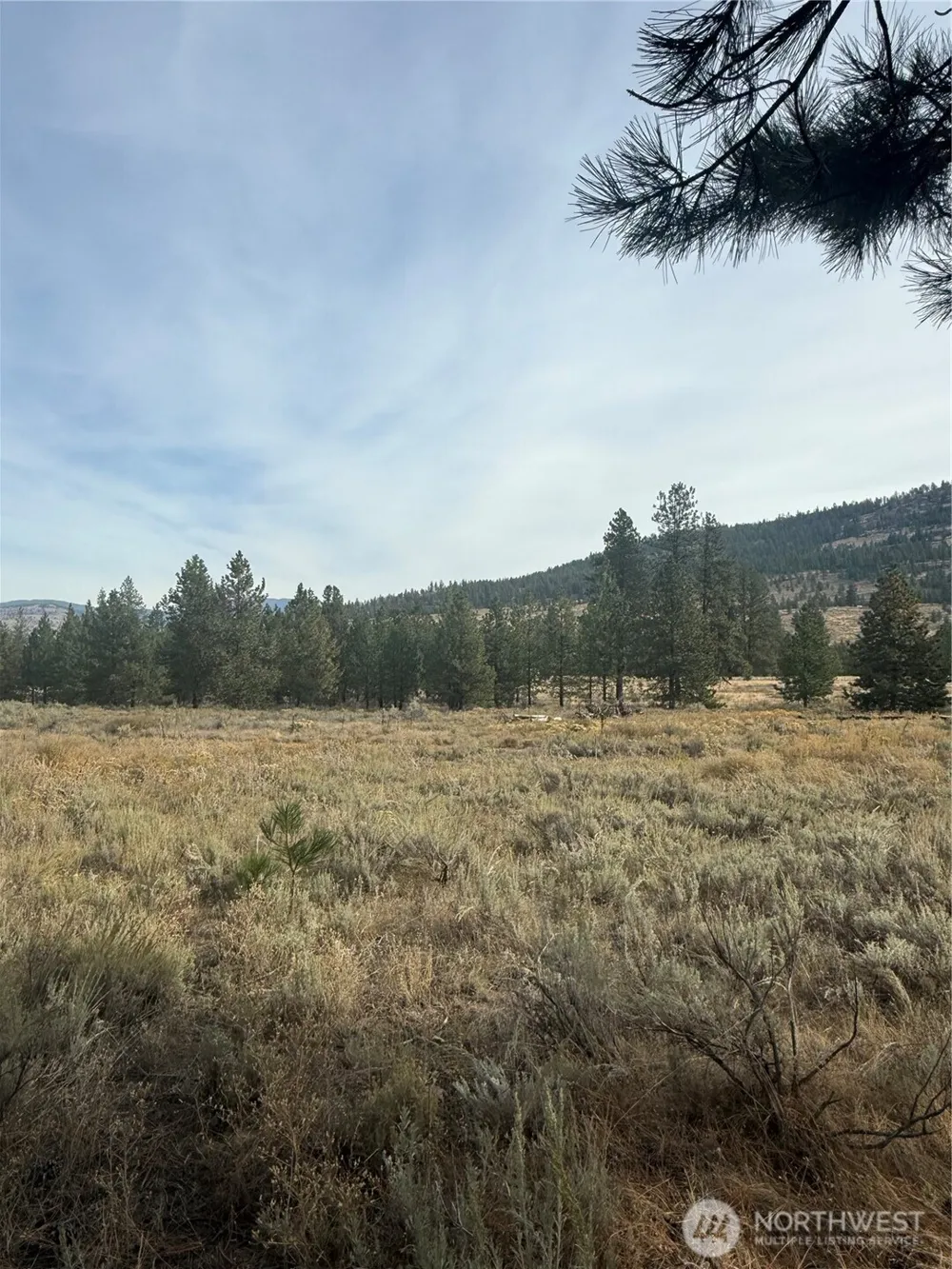 67 W Bannon Creek Road Tonasket, WA 98855