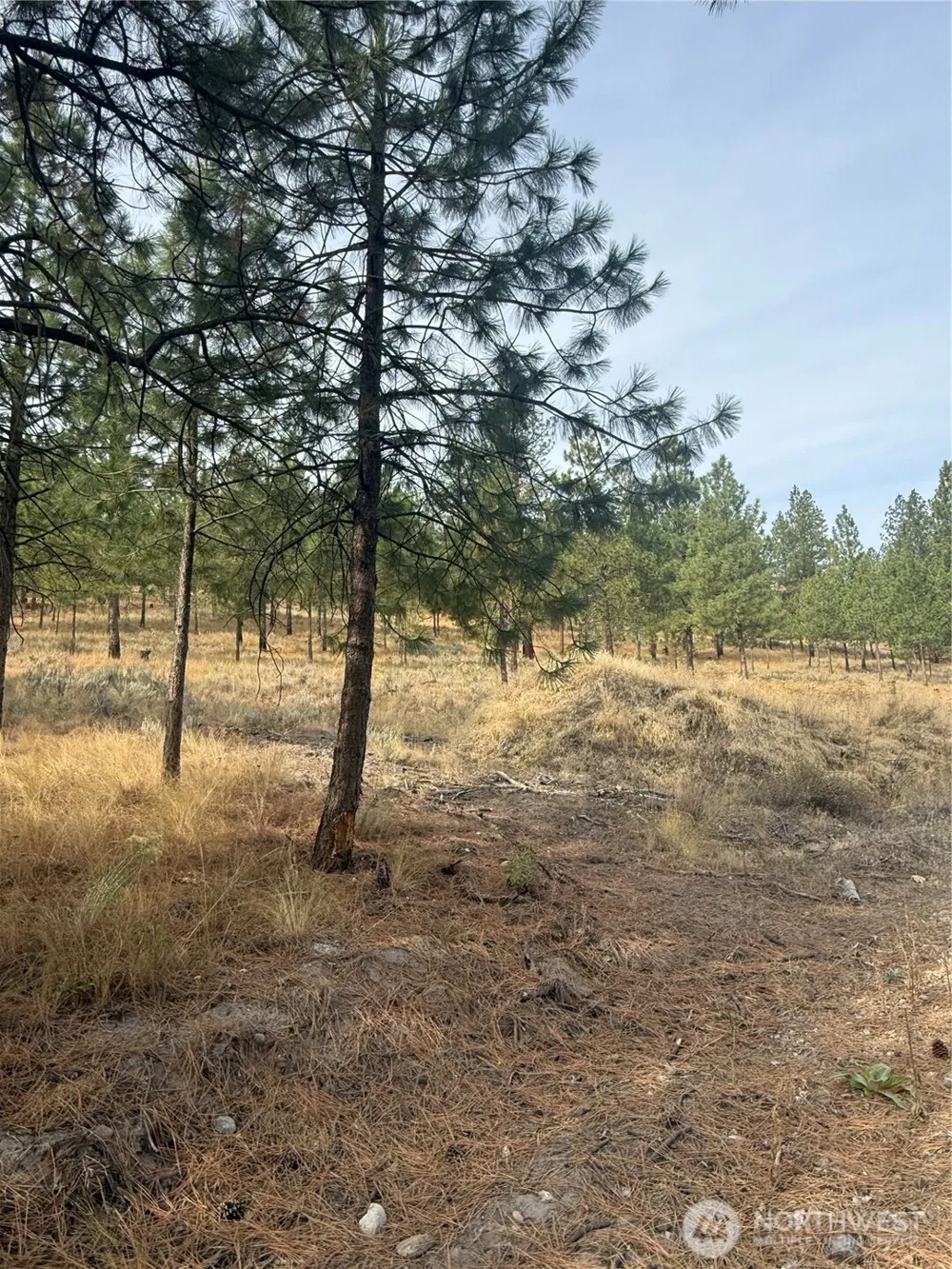 67 W Bannon Creek Road Tonasket, WA 98855