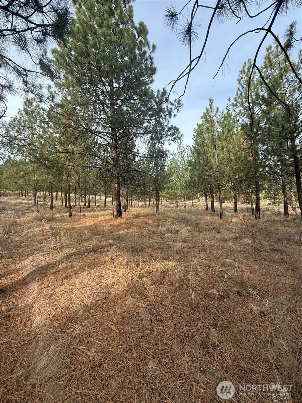 67 W Bannon Creek Road Tonasket, WA 98855