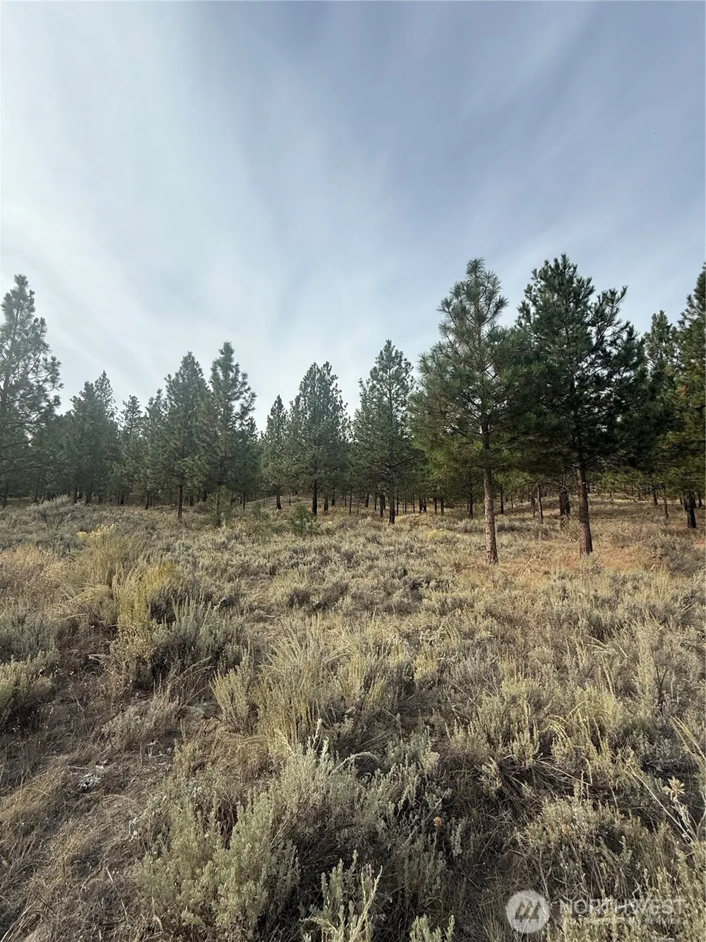 67 W Bannon Creek Road Tonasket, WA 98855