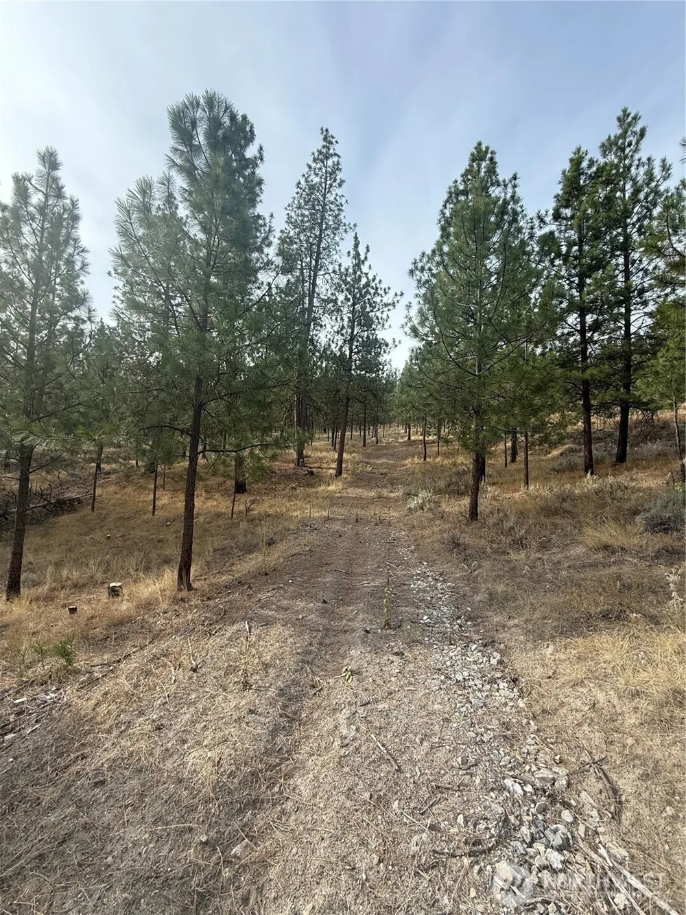 67 W Bannon Creek Road Tonasket, WA 98855