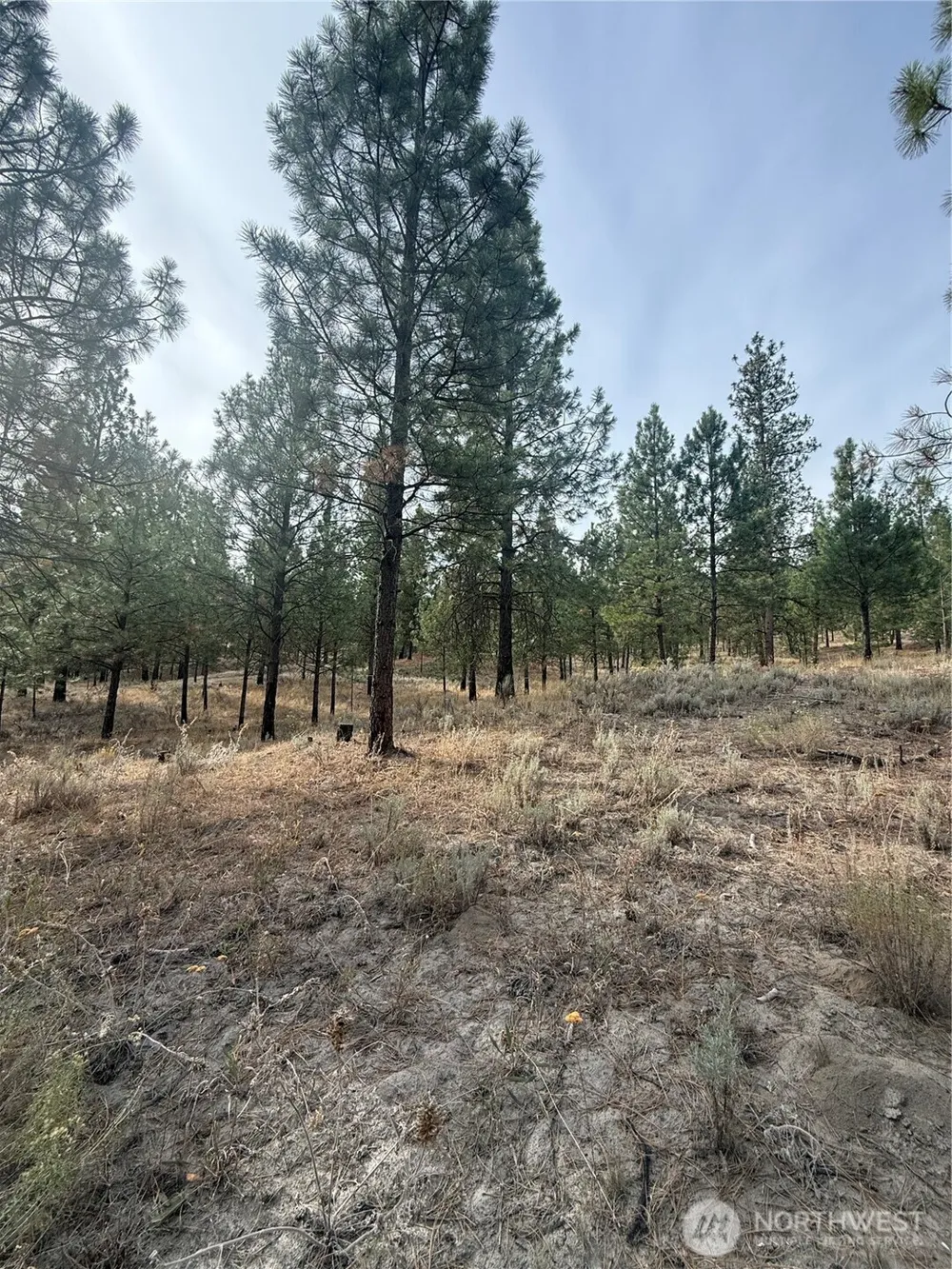 67 W Bannon Creek Road Tonasket, WA 98855