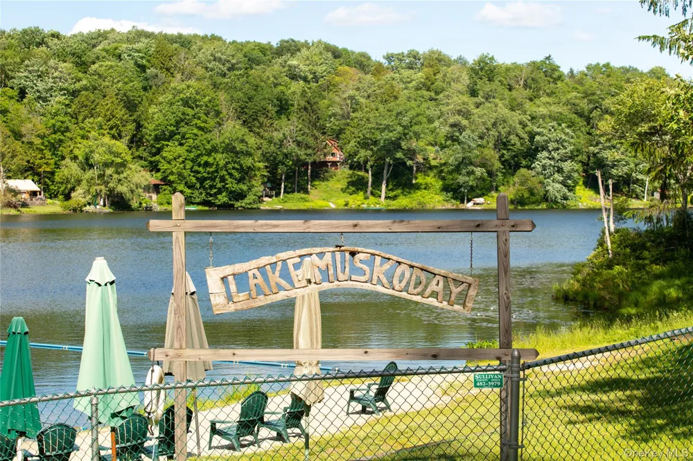 238 Trout Brook Road Roscoe, NY 12776