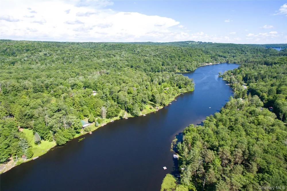 238 Trout Brook Road Roscoe, NY 12776