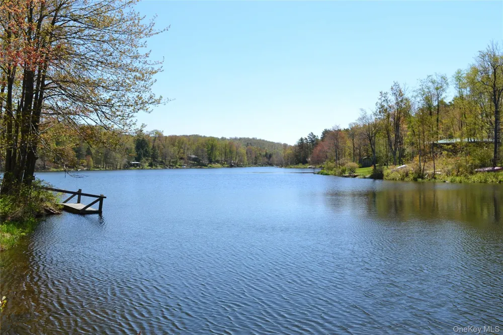238 Trout Brook Road Roscoe, NY 12776