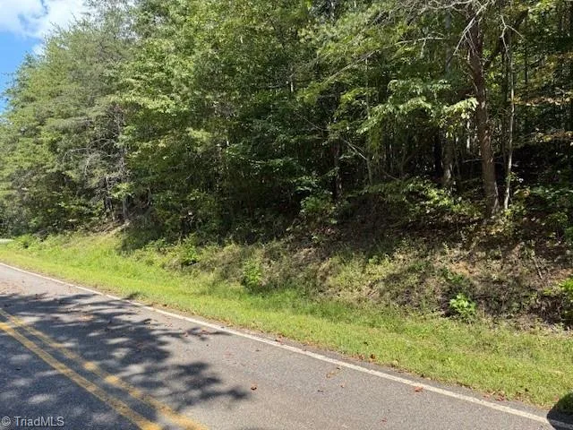 6 Arlie Myers Store Road McGrady, NC 28649