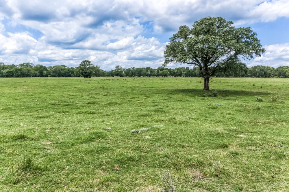 237 HWY 36 S Caldwell, TX 77836