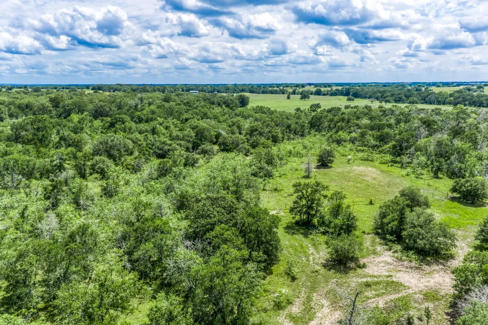 237 HWY 36 S Caldwell, TX 77836