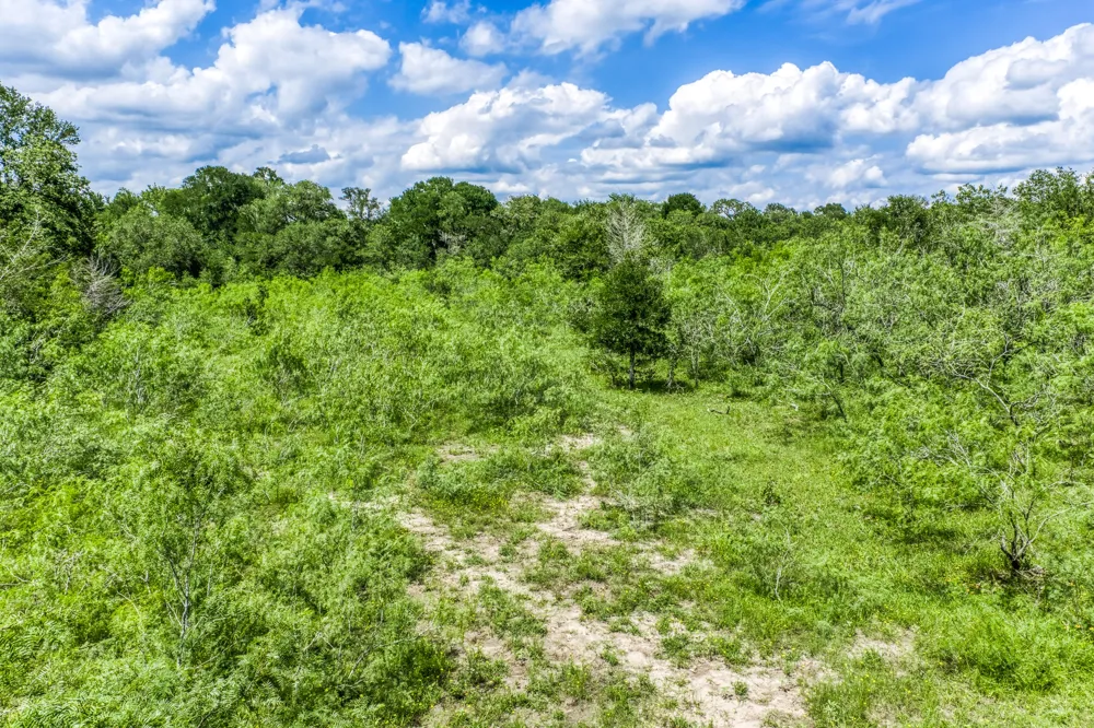 237 HWY 36 S Caldwell, TX 77836