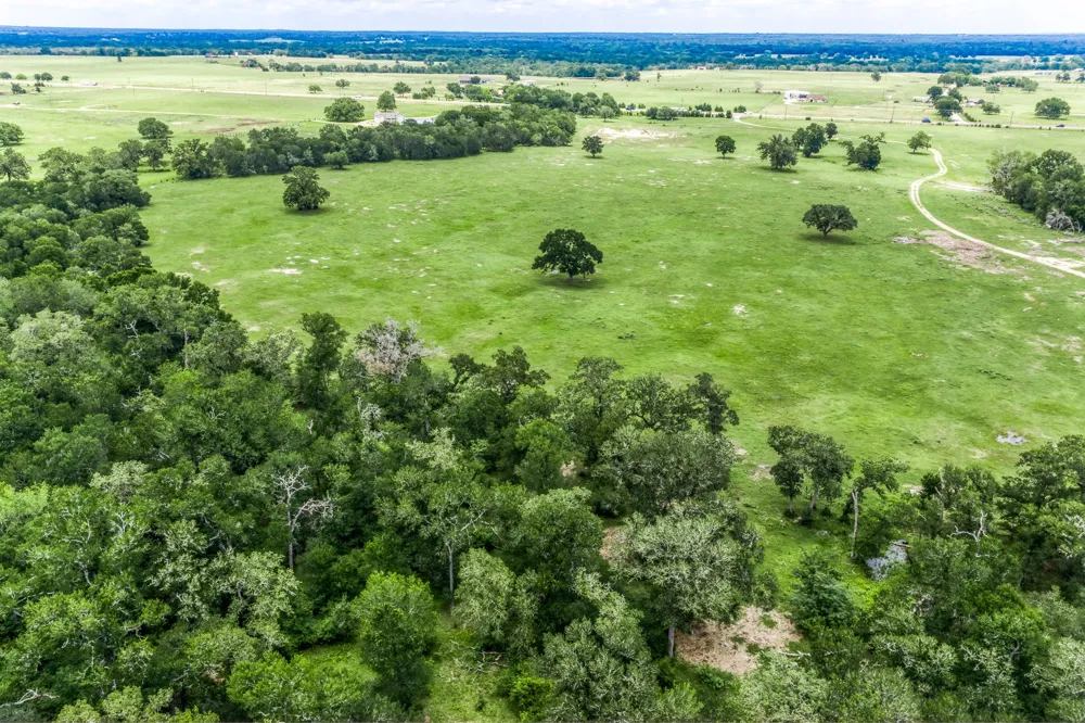 237 HWY 36 S Caldwell, TX 77836