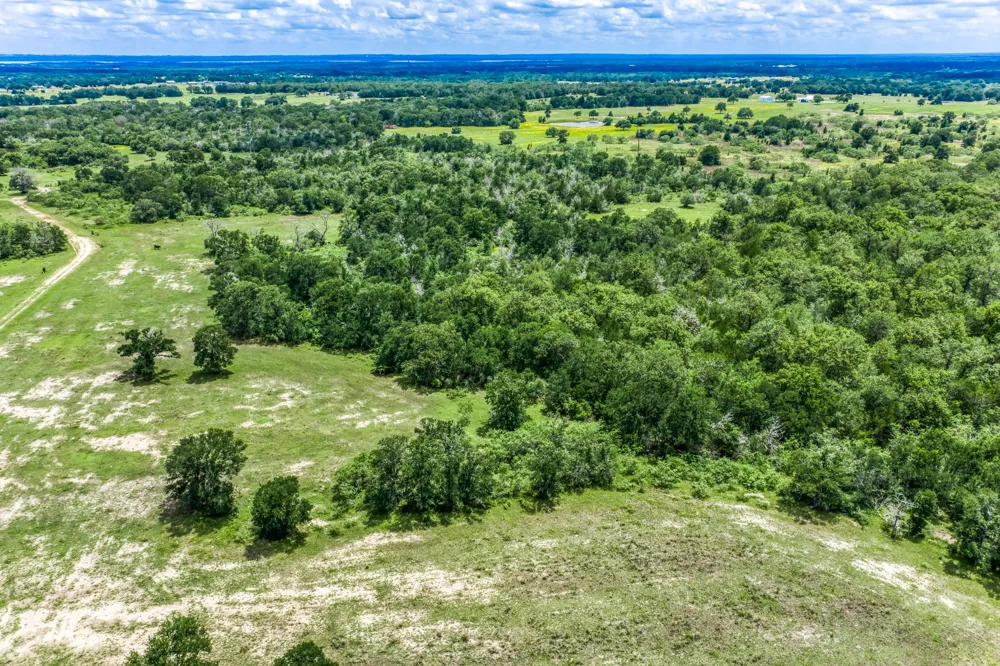 237 HWY 36 S Caldwell, TX 77836