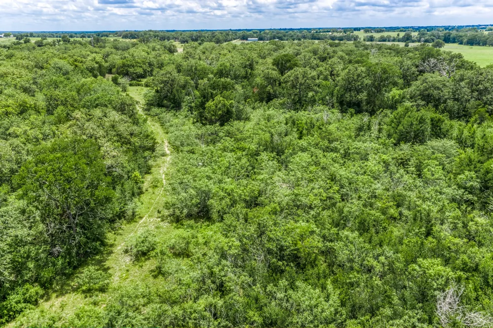 237 HWY 36 S Caldwell, TX 77836