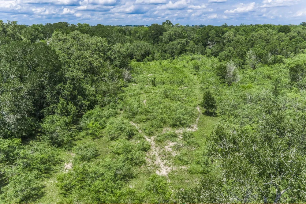 237 HWY 36 S Caldwell, TX 77836