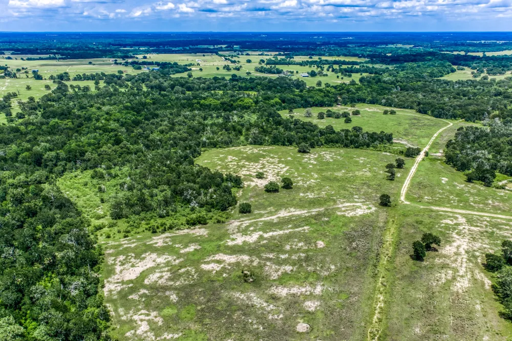 237 HWY 36 S Caldwell, TX 77836