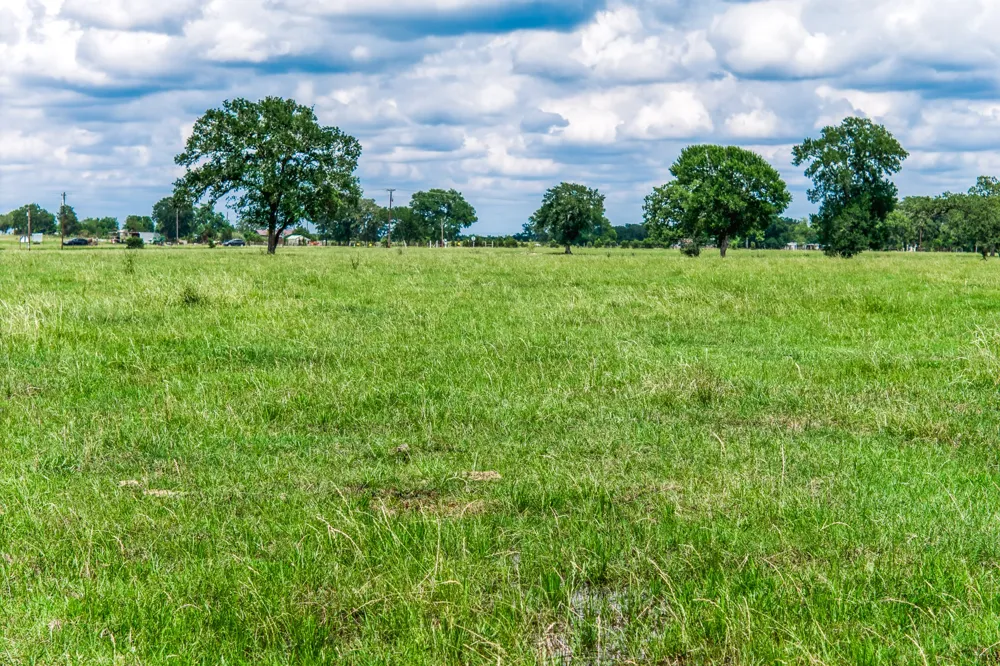 237 HWY 36 S Caldwell, TX 77836