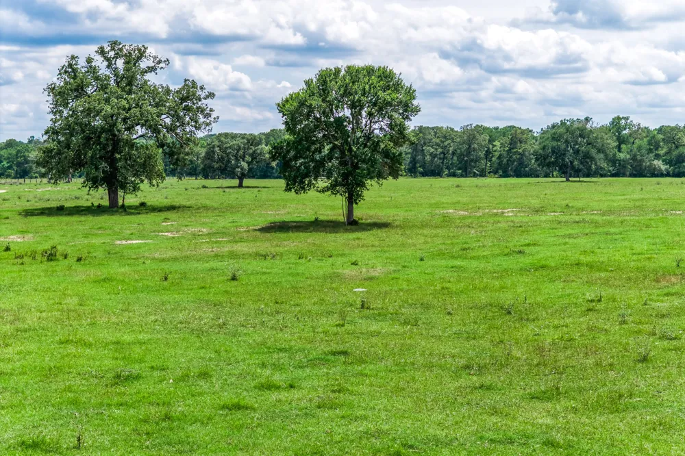 237 HWY 36 S Caldwell, TX 77836